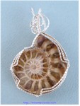 Ammonite Fossil Pendant