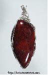 Petrified Wood Pendant